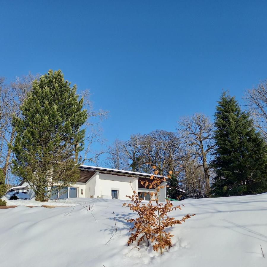 Adbs Ferienhaus Winterberg Luaran gambar
